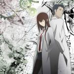 Steins Gate