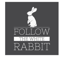 ماگ Matrix طرح FOLLOW THE WHITE RABBIT