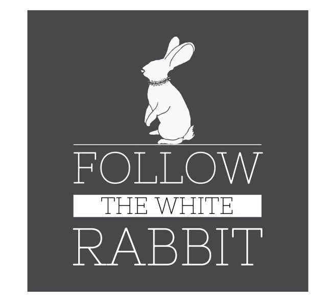 ماگ Matrix طرح FOLLOW THE WHITE RABBIT