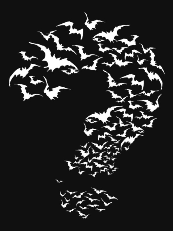 تی شرت کلاسیک بتمن | تی شرت CLASSIC BATMAN طرح Bat The Riddler