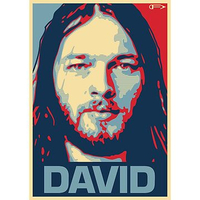 تیشرت پینک فلوید تیشرت David
