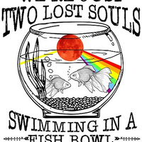تیشرت پینک فلوید تیشرت Pink Floyd We’Re Just Two Lost Souls Swimming In A Fish Bowl