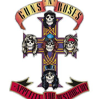 تیشرت guns n roses گانز ان روزز Skull