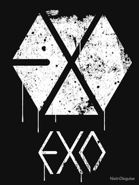  تیشرت اکسو | EXO GRUNGE SPRAYPAINT