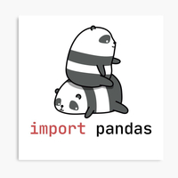 ماگ پاندا طرح import pandas