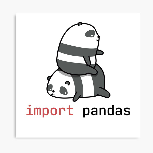 ماگ پاندا طرح import pandas