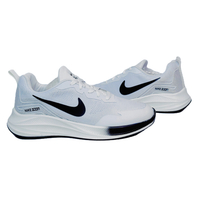Air Zoom Pegasus