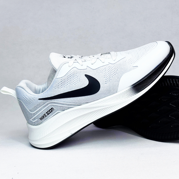 Air Zoom Pegasus
