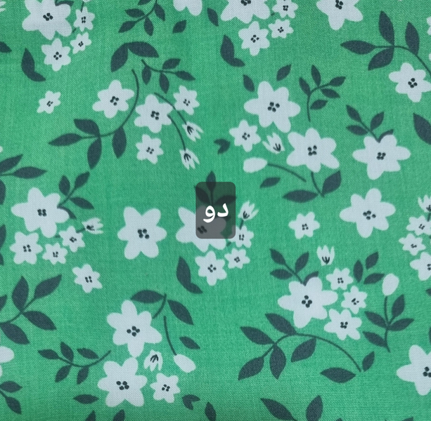 ساحلی نخی خلیجی