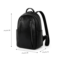 کوله پشتی مدل فرنیان