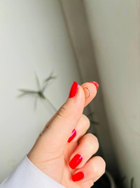 پیرسینگ فیک بینی