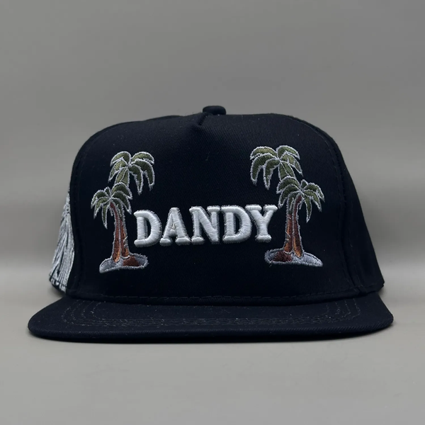کلاه بک فیت مشکی مدل DANDY CS