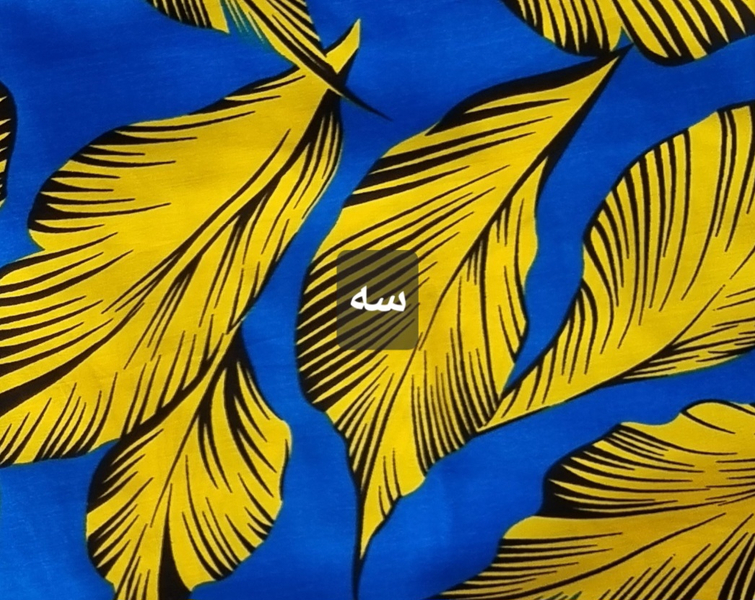 ساحلی زنانه نخی